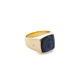 Gold Signet Ring - Dumortieryt